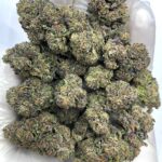 Shirley Temple THCA Flower