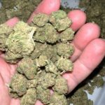 Sour Death THCA Cryo