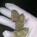 Sour Runtz THCA