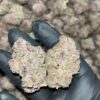 Tropicana Cookies THCA Exotics