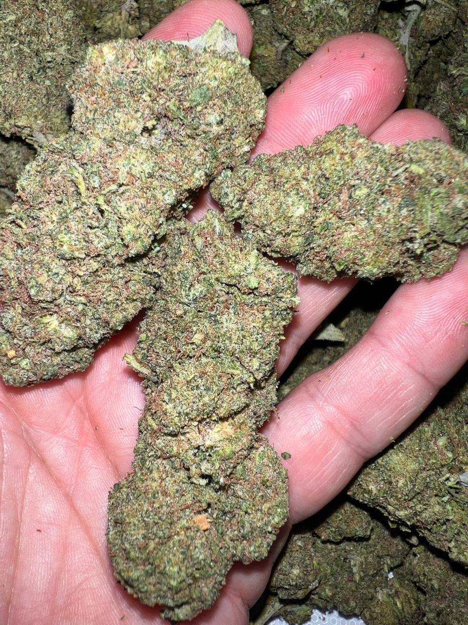 Tsunami OG THCa 1 Tsunami OG THCa