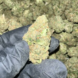 White Runtz THCa Flower