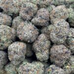 Purple Punch HHC Flower