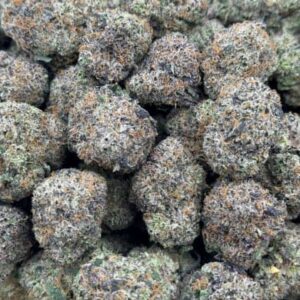 Purple Punch HHC Flower
