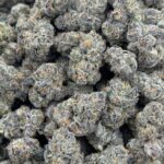 Sour Diesel HHC Flower