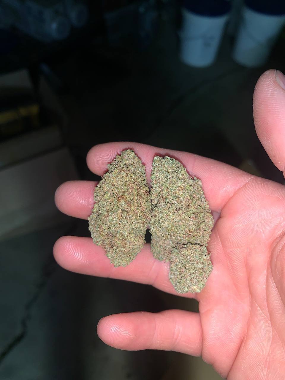 Zkittlez THCa Cryo 1 Zkittlez THCa Cryo